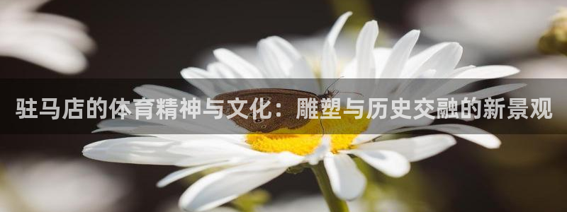 oety欧亿：驻马店的体育精神与文化：雕塑与历史交融的新景观