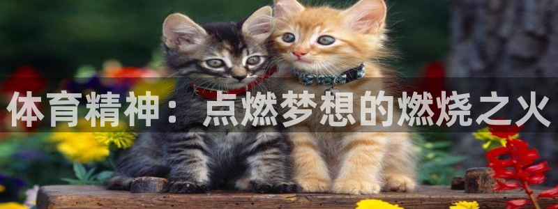 oety欧亿