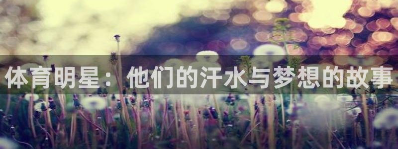 oety欧亿