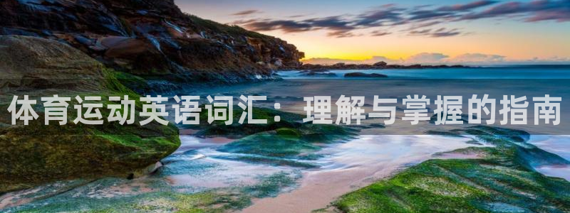 oety欧亿：体育运动英语词汇：理解与掌握的指南