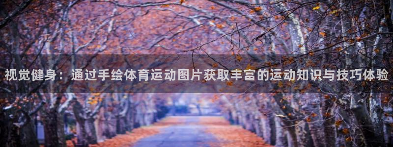 oety欧亿